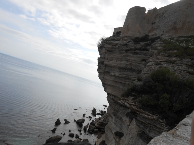 DSCN3170